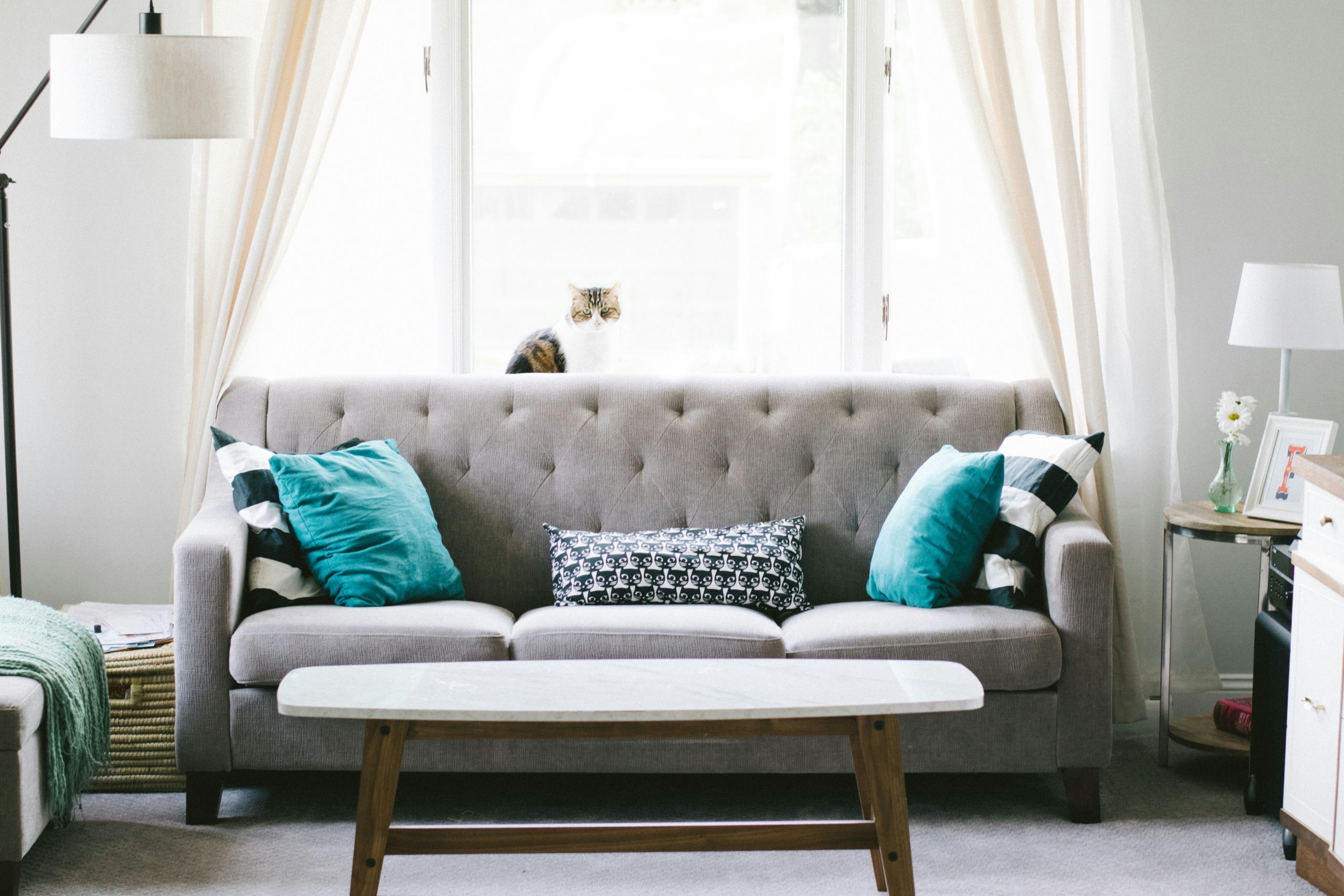 Sunlit living area